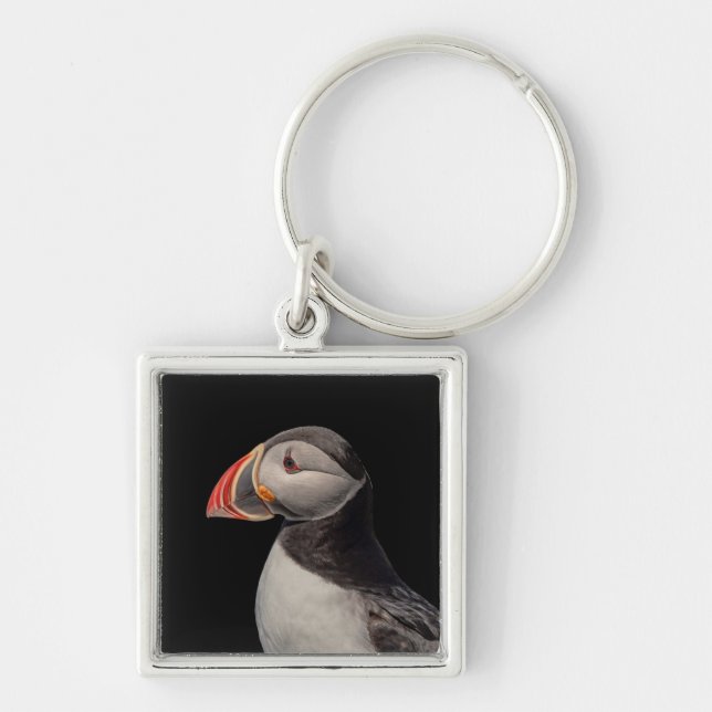 Atlantic Puffin in Machias, Maine Keychain (Front)