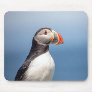 Atlantic Puffin in Machias, Maine Mouse Pad