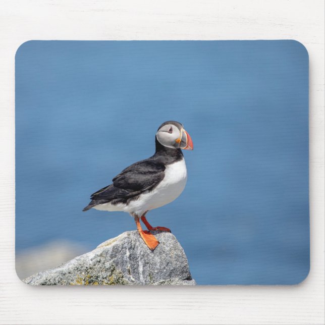 Atlantic Puffin in Machias, Maine Mouse Pad (Front)