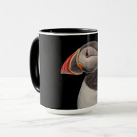 Atlantic Puffin in Machias, Maine