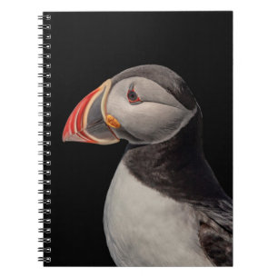 Atlantic Puffin in Machias, Maine Notebook