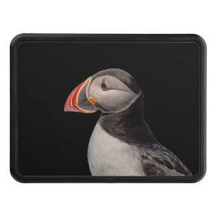 Atlantic Puffin in Machias, Maine Trailer Hitch Cover