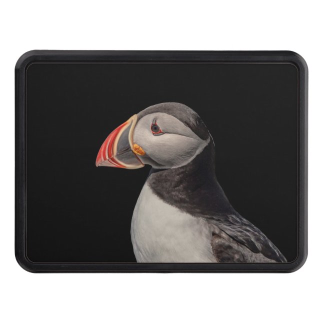 Atlantic Puffin in Machias, Maine Trailer Hitch Cover (Front)