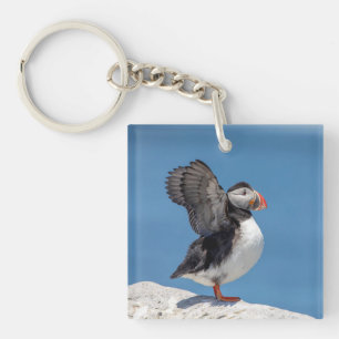 Atlantic Puffin in Machias, ME Keychain