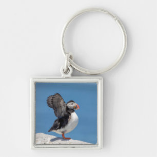 Atlantic Puffin in Machias, ME Keychain