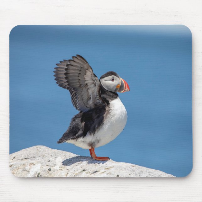 Atlantic Puffin in Machias, ME Mouse Pad (Front)