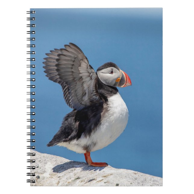 Atlantic Puffin in Machias, ME Notebook (Front)