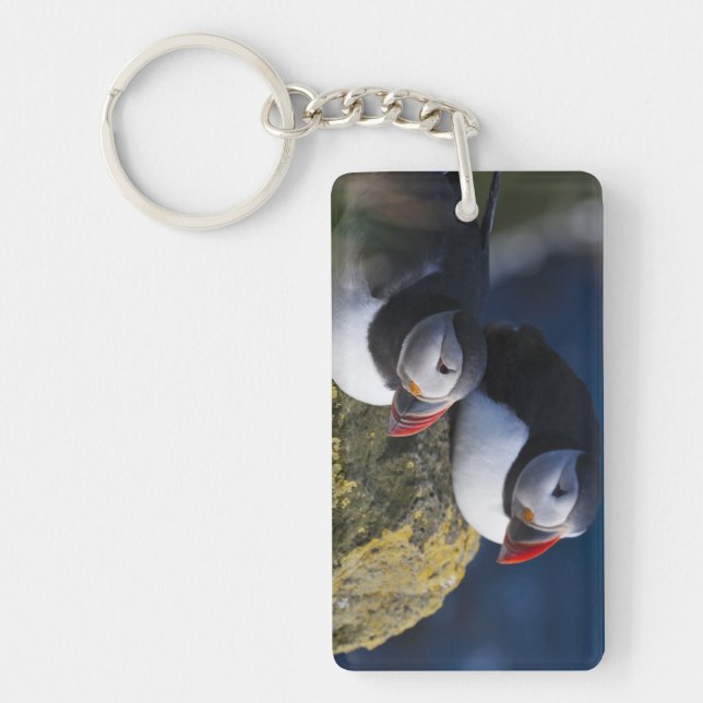 Atlantic Puffin Keychain (Front)