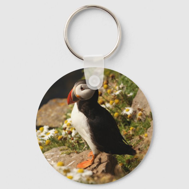 Atlantic Puffin Keychain (Front)