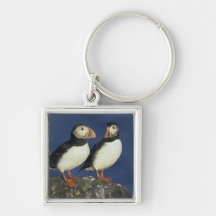 Atlantic Puffin Keychain