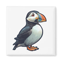 Atlantic puffin