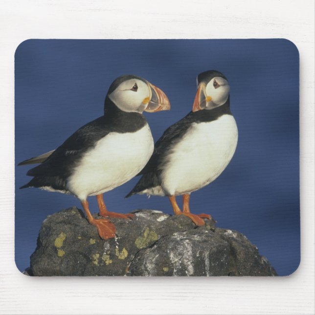 Atlantic Puffin Mouse Pad (Front)