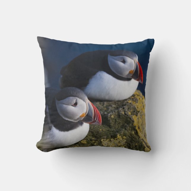 Atlantic Puffin Throw Pillow (Front)