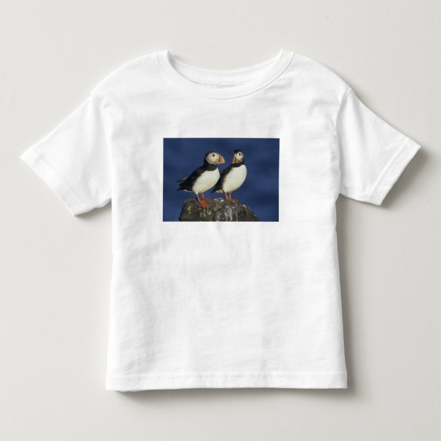 Atlantic Puffin Toddler T-shirt (Front)