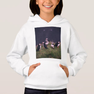 Atlantic Puffins