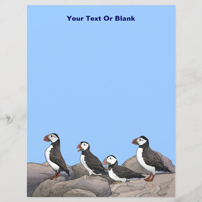 Atlantic Puffins (Front)
