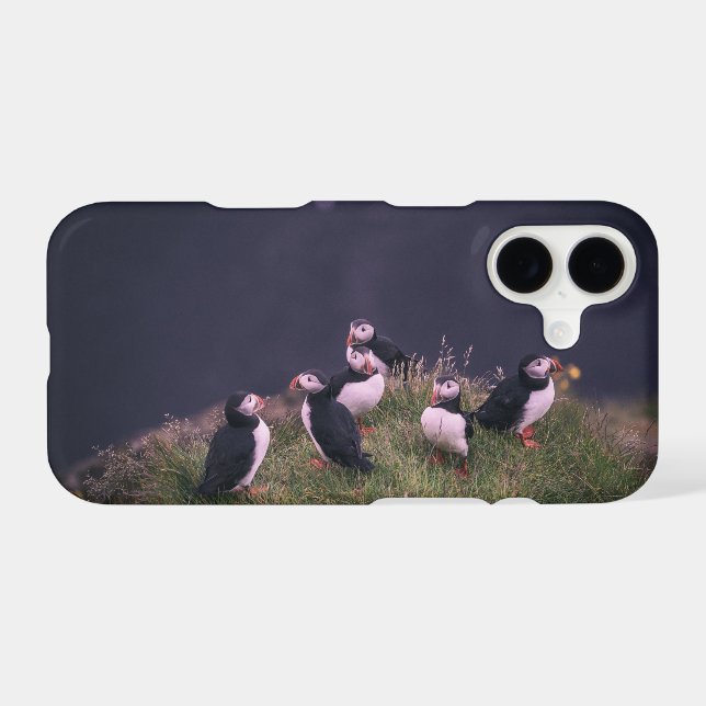 Atlantic Puffins (Verso (Horizontal))