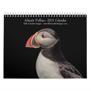 Atlantic Puffins 2021 Calendar