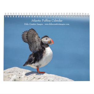 Atlantic Puffins 2025 Calendar