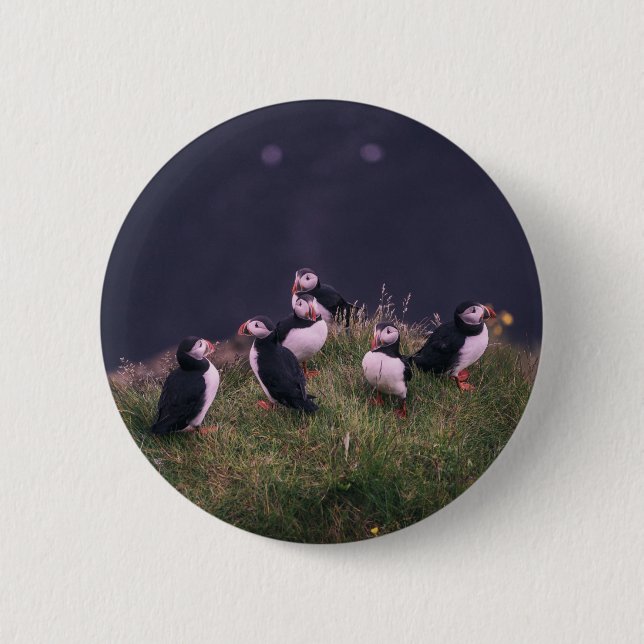 Atlantic Puffins 2 Inch Round Button (Front)