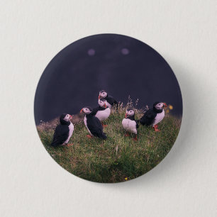 Atlantic Puffins 2 Inch Round Button