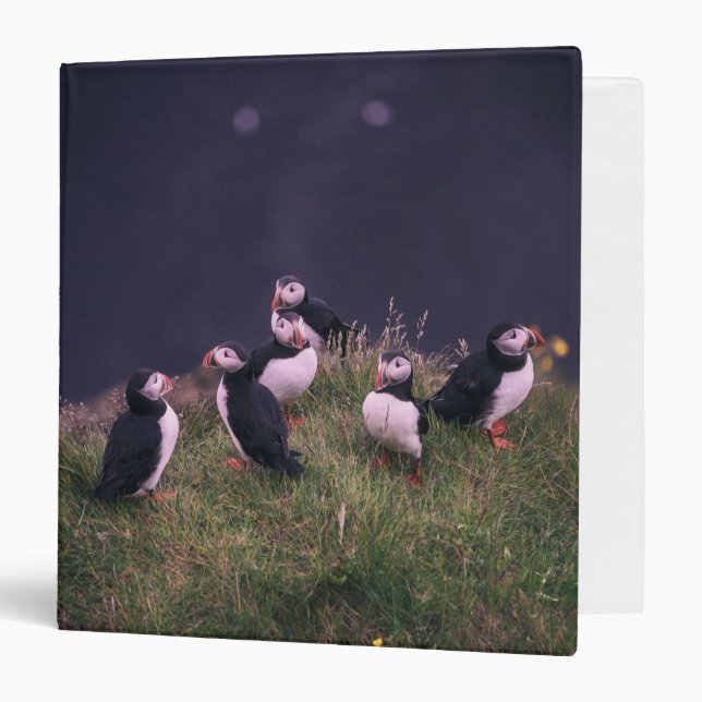 Atlantic Puffins 3 Ring Binder (Front/Inside)