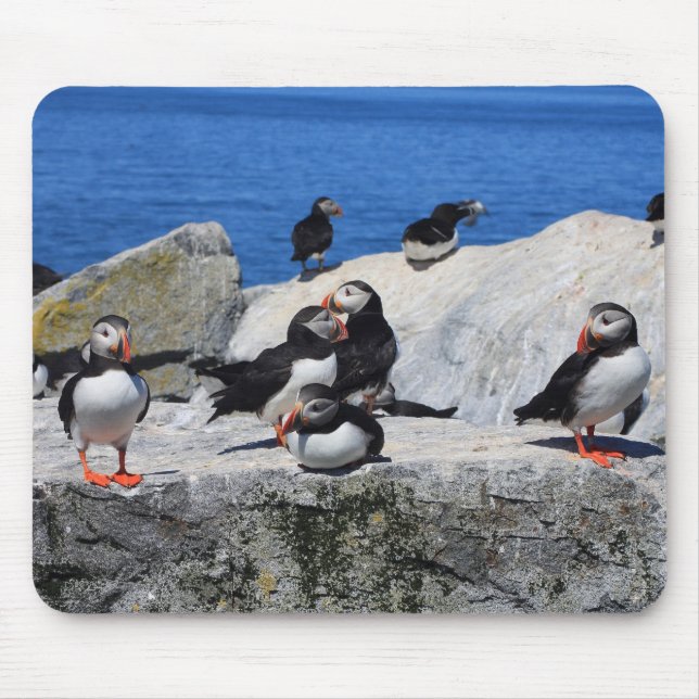 Atlantic Puffins at Machias Seal Island Mouse Pad (Front)