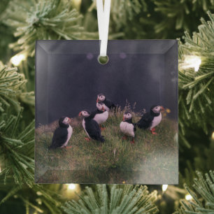 Atlantic Puffins Glass Ornament