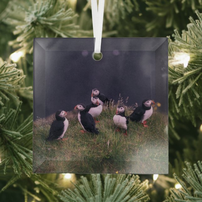 Atlantic Puffins Glass Ornament (Insitu)