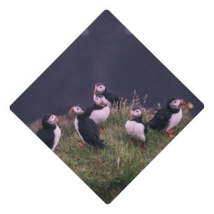 Atlantic Puffins Graduation Cap Topper