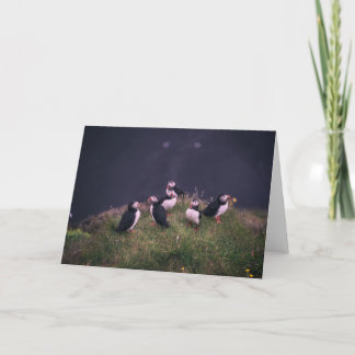 Atlantic Puffins Greeting Card