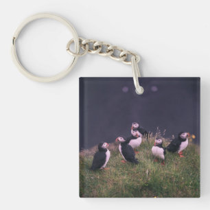 Atlantic Puffins Keychain