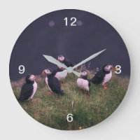 Atlantic Puffins