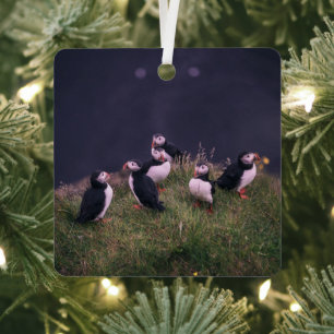 Atlantic Puffins Metal Ornament