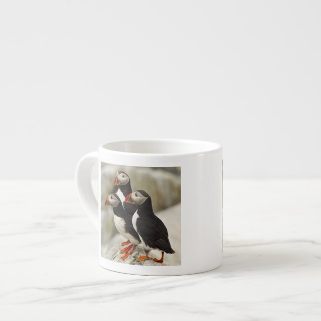 Atlantic Puffins on Machias Seal Island Espresso Cup (Front Left)