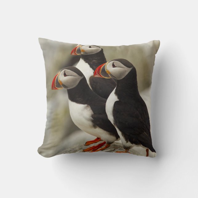 Atlantic Puffins on Machias Seal Island Throw Pillow (Front)