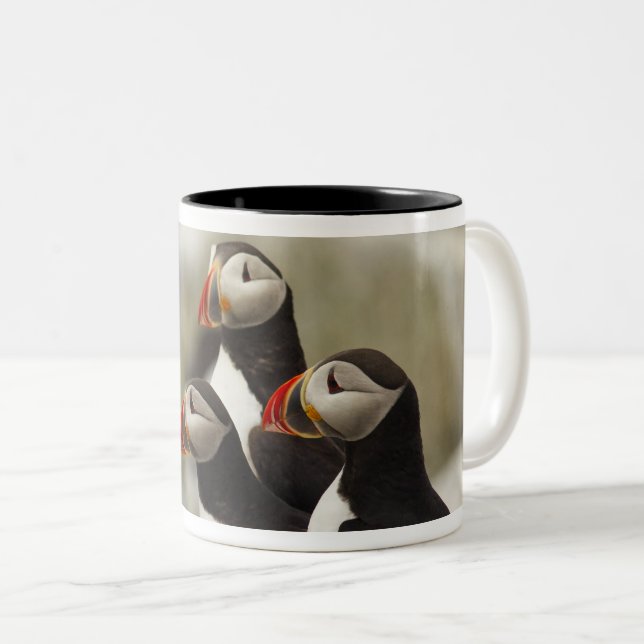 Atlantic Puffins on Machias Seal Island Two-Tone Coffee Mug (Front Right)