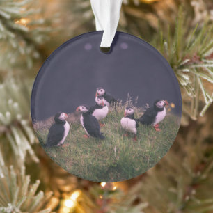 Atlantic Puffins Ornament