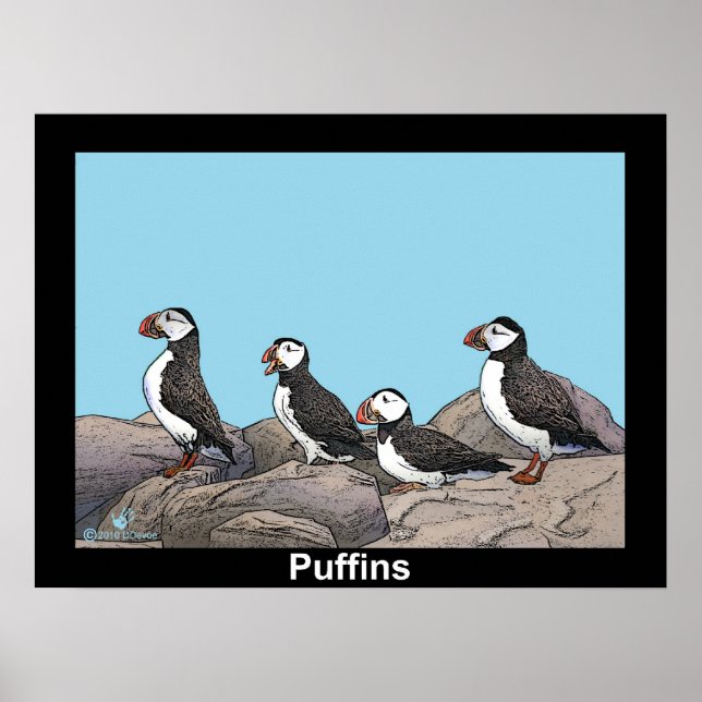 Atlantic Puffins Poster (Front)