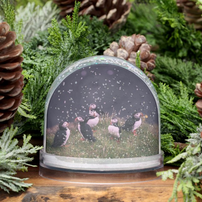 Atlantic Puffins Snowglobe (Winter)