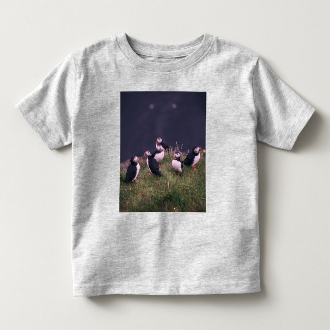 Atlantic Puffins Toddler T-shirt (Front)