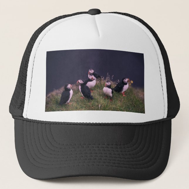 Atlantic Puffins Trucker Hat (Front)