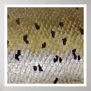 Atlantic Salmon Poster