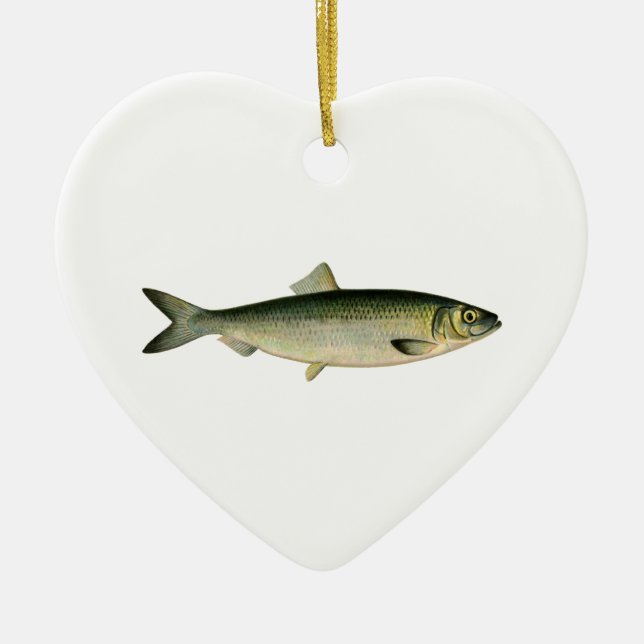 Atlantic Sea Herring Ceramic Ornament (Front)