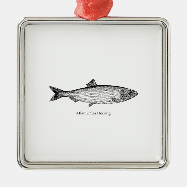 Atlantic Sea Herring Metal Ornament (Front)