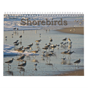 Atlantic Shorebirds Calendar