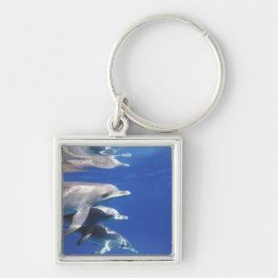 Atlantic spotted dolphins. Bimini, Bahamas Keychain