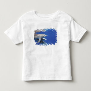 Atlantic spotted dolphins. Bimini, Bahamas Toddler T-shirt