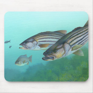 Atlantic Striped Bass Fish Morone Saxatilis Mouse Pad