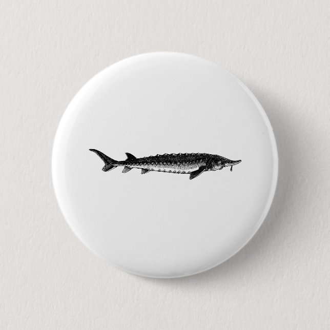 Atlantic Sturgeon 2 Inch Round Button (Front)